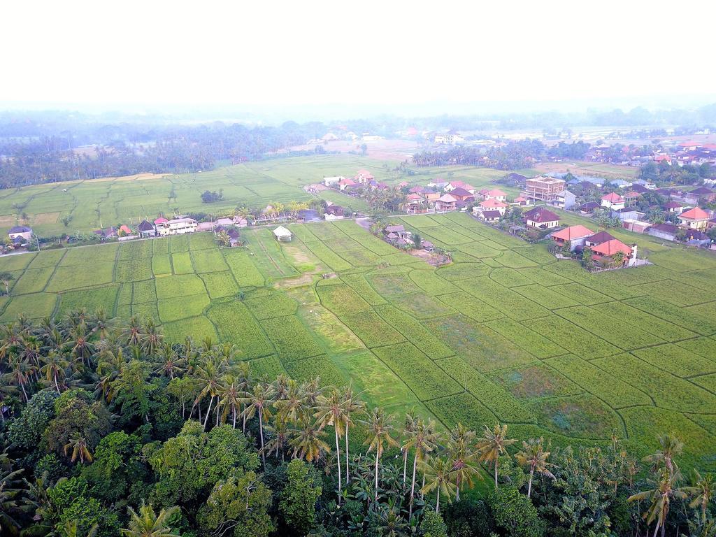 Pangkung Sari Hotell Ubud Eksteriør bilde